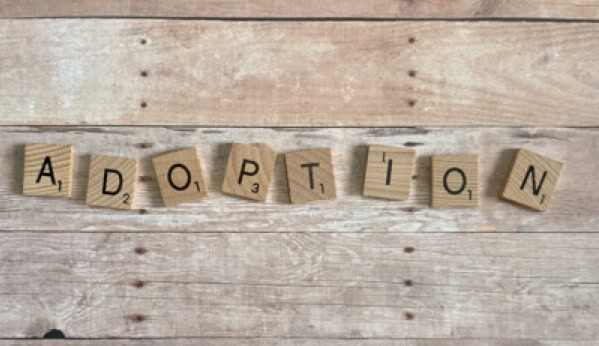 Adoption support chicago image