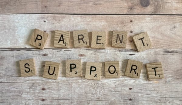 Parent Support Chicago Image