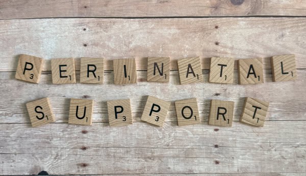 Perinatal Support Chicago Image